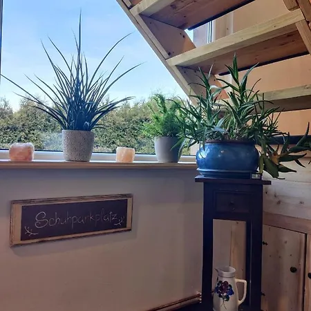 Ferienwohnung Malu Sol Im Harz - Stilvoll, Gemuetlich, Tierfreundlich - Mit Garten Allrode Eksteriør billede