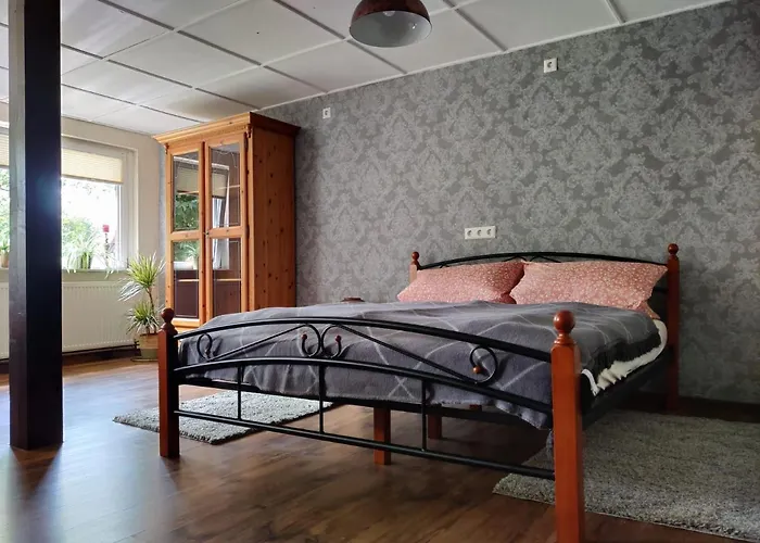 Ferienwohnung Malu Sol Im Harz - Stilvoll, Gemuetlich, Tierfreundlich - Mit Garten