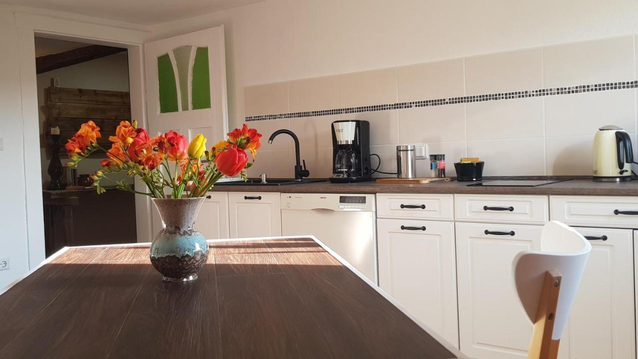 Apartment Malu Sol Im Harz - Stilvoll, Gemuetlich, Tierfreundlich - Mit Garten *