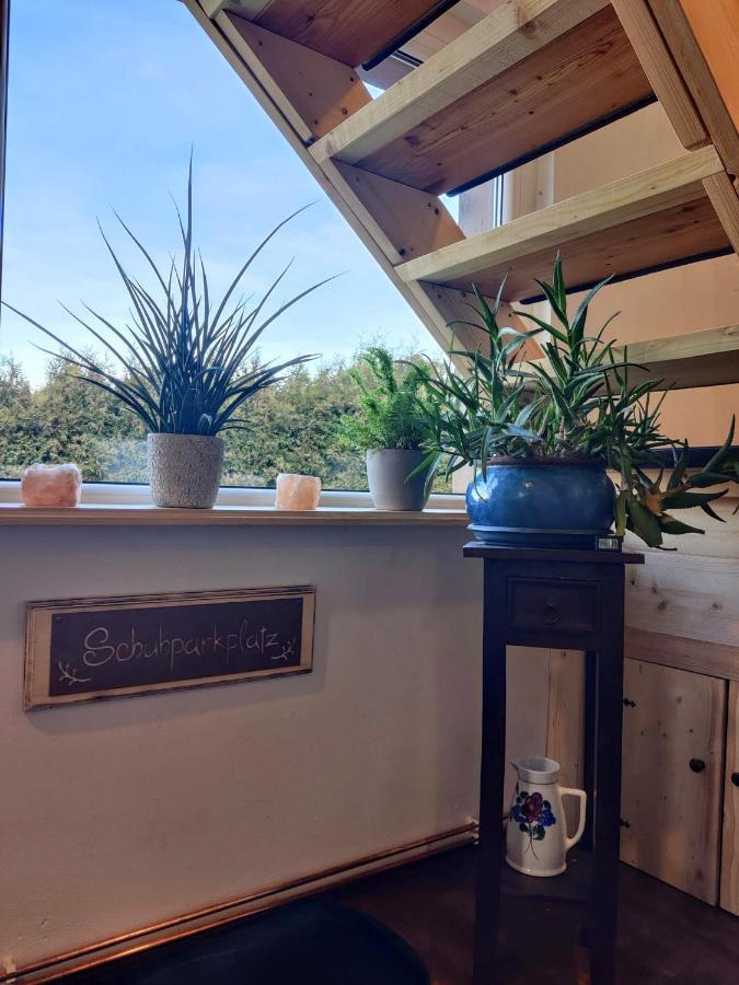 Malu Sol Im Harz - Stilvoll, Gemuetlich, Tierfreundlich - Mit Garten Apartment