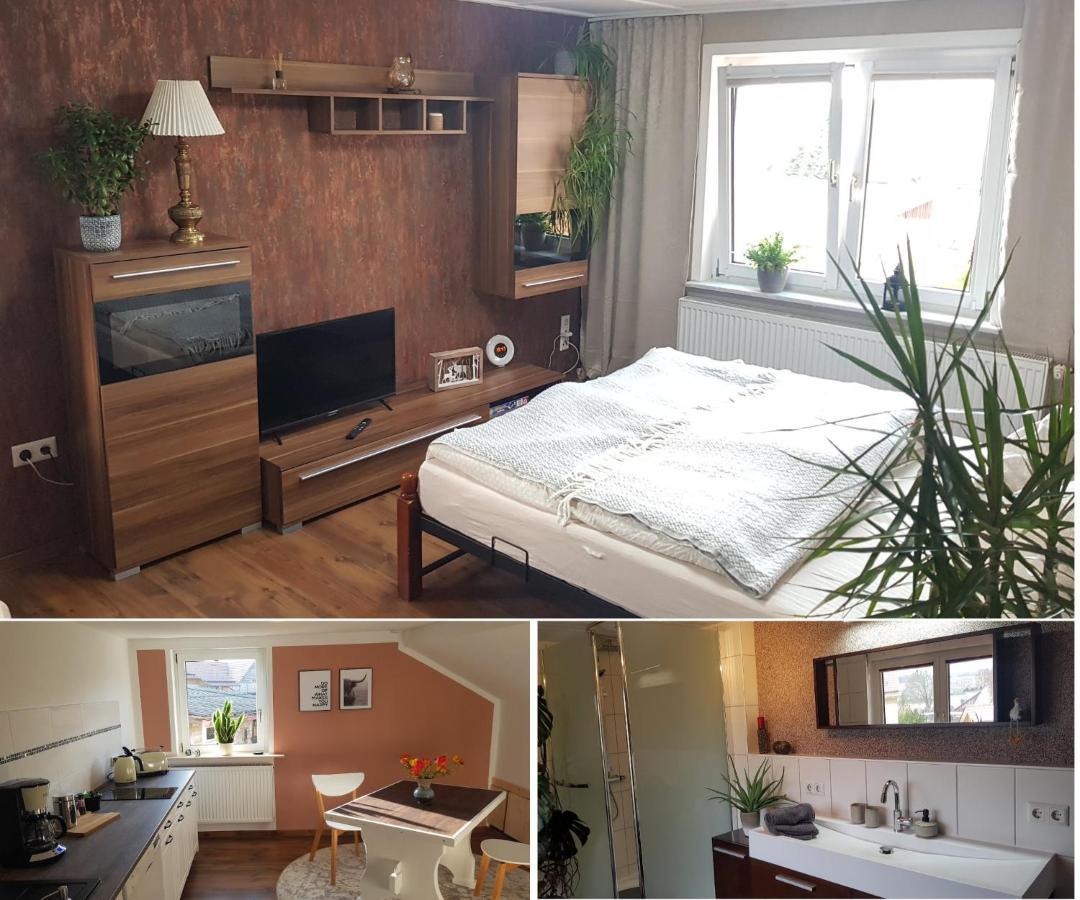 Malu Sol Im Harz - Stilvoll, Gemuetlich, Tierfreundlich - Mit Garten Apartment *