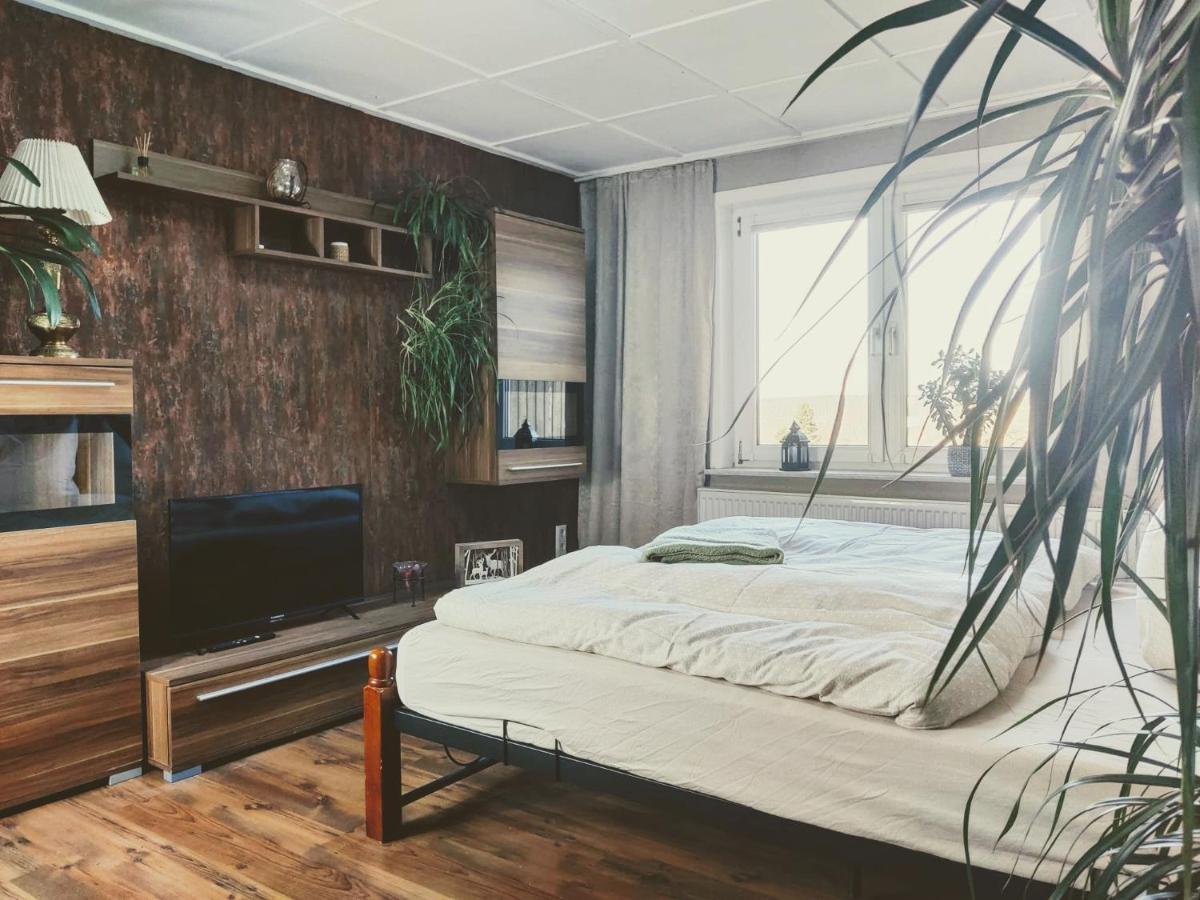 Malu Sol Im Harz - Stilvoll, Gemuetlich, Tierfreundlich - Mit Garten Apartment *