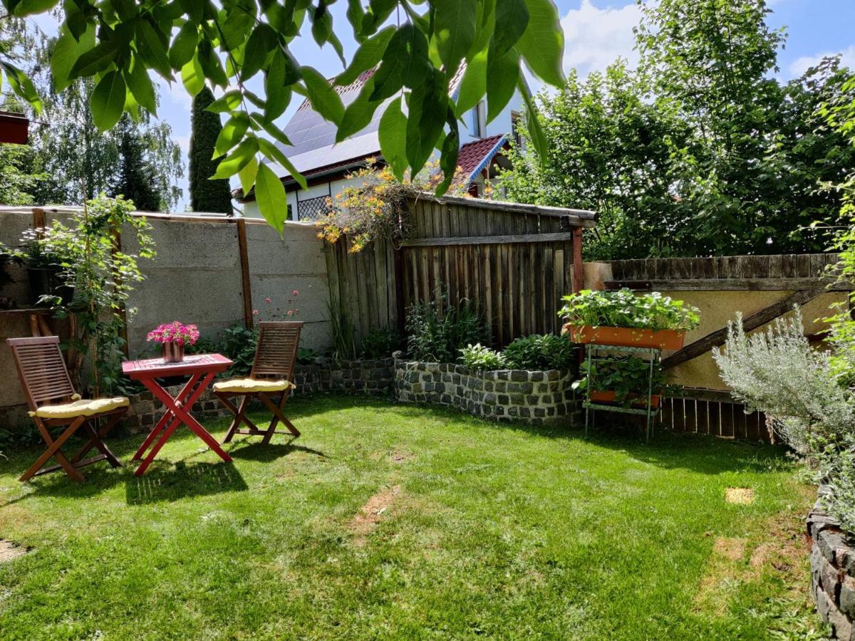 Apartment Malu Sol Im Harz - Stilvoll, Gemuetlich, Tierfreundlich - Mit Garten Allrode
